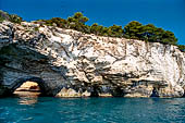 La costa cesellata di grotte create dall'erosione del calcare con anfratti; rientranze e rotture.